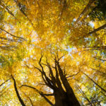 Realizacje fotografia wirtualne wycieczki Gorlice Nowy Sącz Kraków