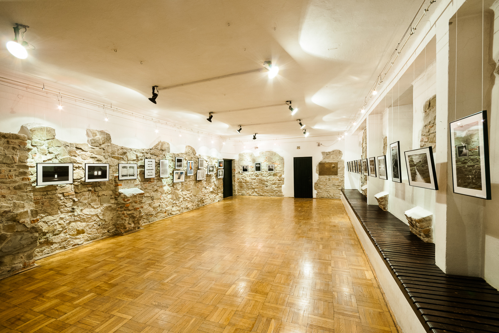 Trees-Shadows-Dreaming exhibition virtual tour