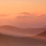 Lackowa z Gór Grybowskich